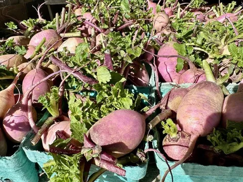 Cà rốt Đà Lạt loại 1