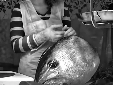 Cua Cà Mau thu hoạch mới