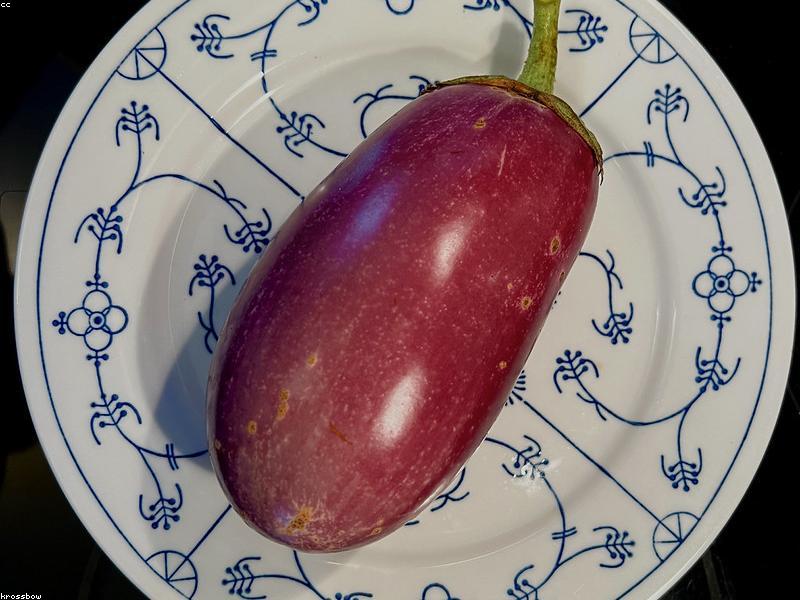 Xà lách thủy canh