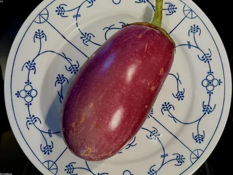 Xà lách thủy canh